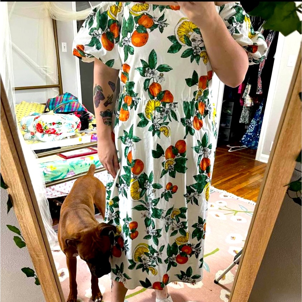 NWOT Lane Bryant Orange & Lemon Off Shoulder Dress
